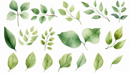 Naklejka premium Hand painted foliage pattern, seamless floral print with green leaves, watercolor illustration Collection isolated white background suitable for Wedding Invitation, wallpapers, textile or cover