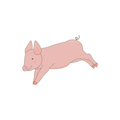 pig cartoon illustration