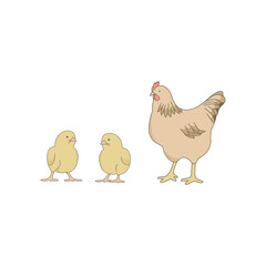 hen and chicken