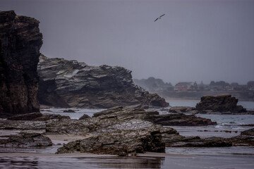 Rainy day at the coast