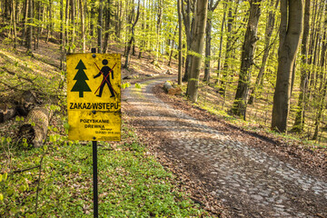 Umieszczona przy leśnej drodze tabliczka "zakaz wstępu - pozyskanie drewna"