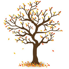 autumn tree