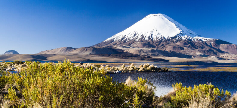 Vulkan Parinacota und Lago Chungara, Nationalpark Lauca, Chile
