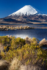 Vulkan Parinacota und Lago Chungara, Nationalpark Lauca, Chile