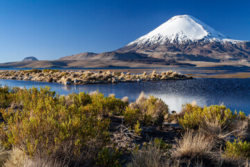 Vulkan Parinacota und Lago Chungara, Nationalpark Lauca, Chile - obrazy, fototapety, plakaty