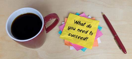 What do you need to succeed?	