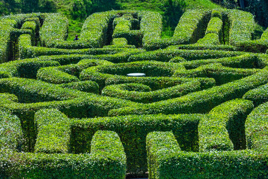 Green labyrinth in the park in Innsbruck