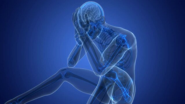 Central Organ of Human Nervous System Brain Anatomy Animation Concept