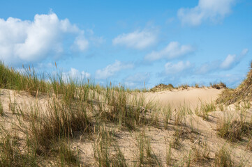 Dünenlandschaft feiner Sand und Strandhafer vor blauem Himmel als Hintergrund