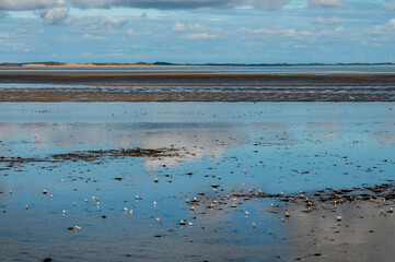 Im Nordseewatt am frühen Morgen im Sommer, die Insel Amrum am Horizont