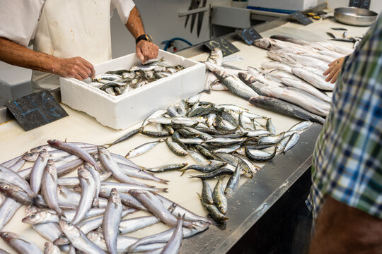 Freshly caught jurels and sardines at the vibrant market, showcasing the ocean's bounty. 