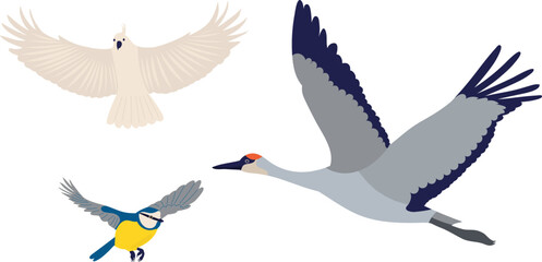 Obraz premium birds flying on a white background,vector