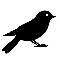 bird silhouette on a white background,vector