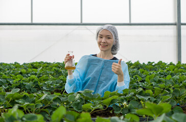 Caucasian female fruit researcher in isolation gown and hairnet poised in a verdant greenhouse,...
