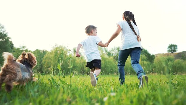 Happy children in park on green grass run and play with pet dog.Toddlers children play with dog in summer in park on lawn.dream love to pet dog. Fun games in park in summer in nature.Kid dream concept