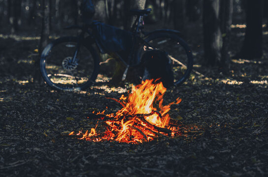 Bonfire in forest. Contrast photo of bright fire against background of dark trees.