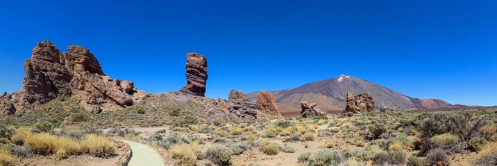 Foto op Canvas The Roques de Garcia rock formations on the Canary Island of Tenerife. © Michael