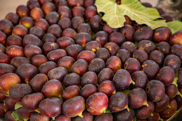 close up of a bunch of grapes