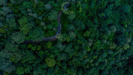 Aerial top view road in forest with car motion blur. Winding road through the forest. Car drive on...