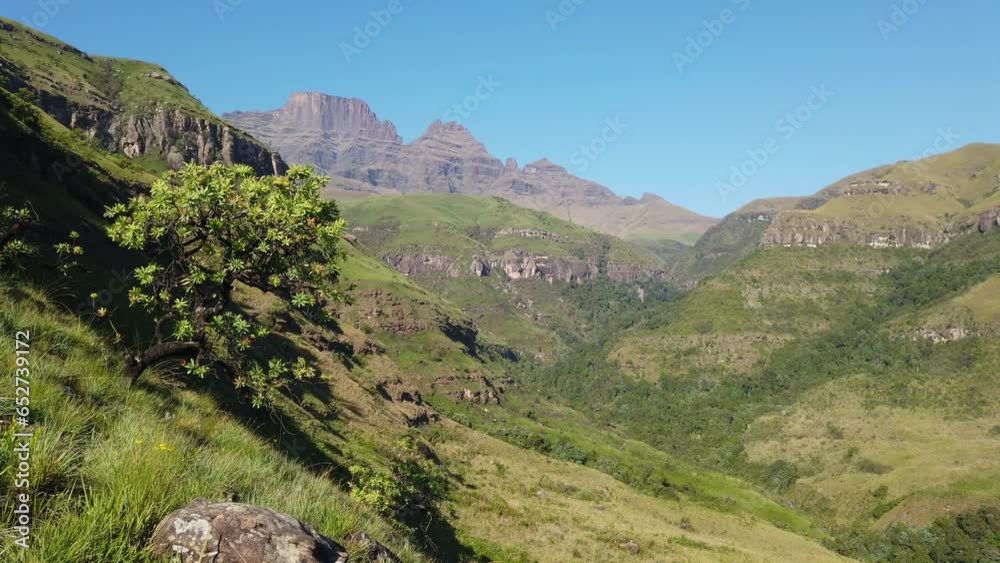 Wall mural Panning view of the Drakensberg mountains with lush vegetation of summer, South Africa