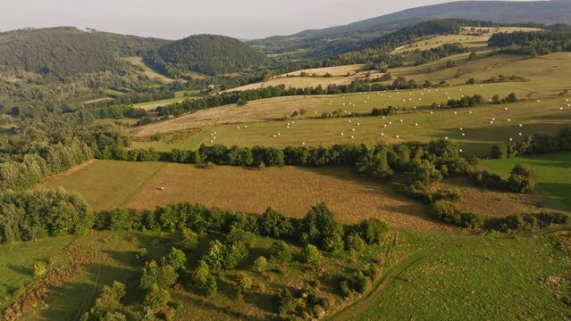 Walim near Walbrzych fields Poland