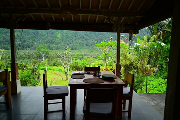 Beautiful lush green rice plantation field in bali in rain forest tropical island in asia