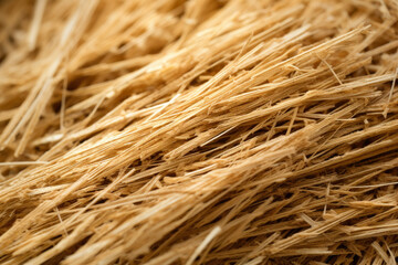 Straw's Intricate Beauty: A Macro Photography Close-Up Capturing the Fine Details, Textures, and Organic Delicacy of Dried Stalks in a Rustic Agricultural Background.