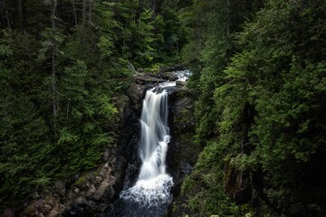 Beautiful shot of the waterfall streaming down in the forest