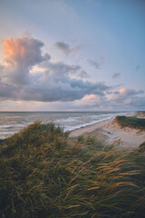 large Dunes in evening light at danish west coast. High quality photo - 652757740