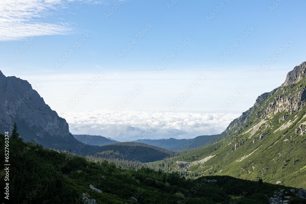 Canvas Prints Aerial view of mountain landscape with growing grass