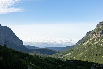 Aerial view of mountain landscape with growing grass