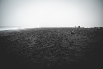 Black Sand Beach Reynisfjara, Iceland during foggy weather, people walking in the distance