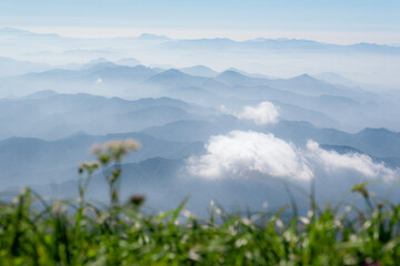 夏山の風景