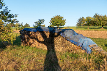 Brennholzlager auf einer Wiese © focus finder
