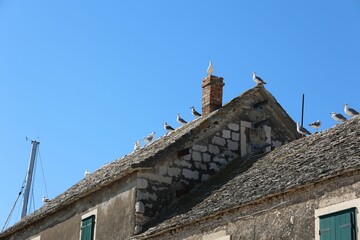 Group of gulls on the roof of an old stone building.