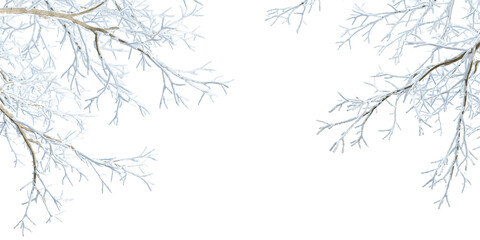 Isolated branches of a tree in snow on white background © Buffstock