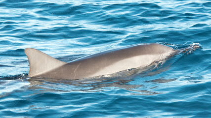 Obraz premium Travel