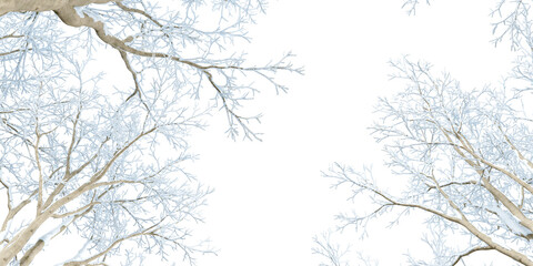 Branches of a tree in winter isolated on white