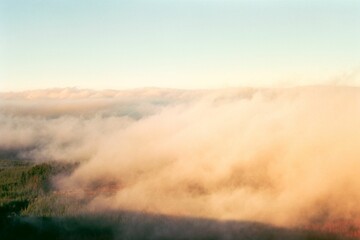 Drone view of the clouds with a shadow, covering the forest full of pine trees during sunset