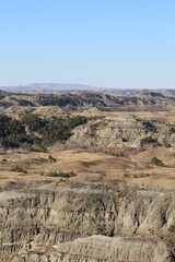 Vertical shot hills covered in dried grass and bare trees in the countryside