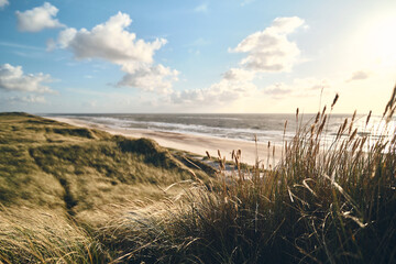 large dunes at danish coast. High quality photo - obrazy, fototapety, plakaty