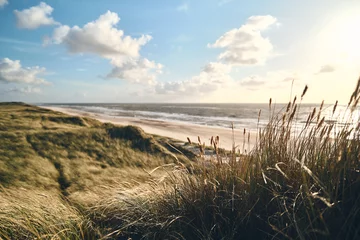 Abwaschbare Fototapete Nordeuropa large dunes at danish coast. High quality photo