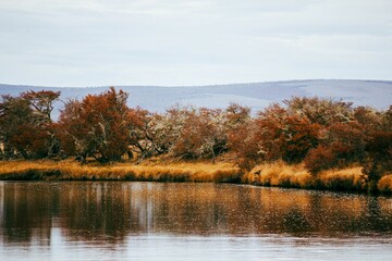 Beautiful autumn view in Rubens River, Santa Cruz, Patagonia, Argentina