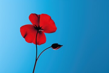 Red and Blue Flower Minimalism in a negative artistic space. Visual abstract metaphor. Geometric shapes with gradients.