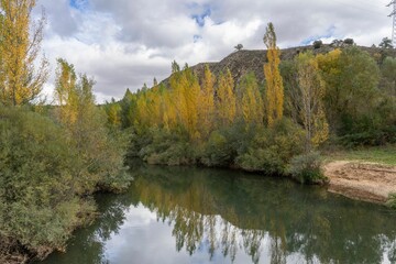Autumn landscape in Soria with trees of different colors reflecting in the Duero river. Spain - obrazy, fototapety, plakaty