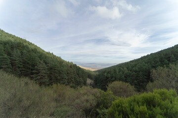 Obraz premium Green landscape with mountains full of trees and in the middle a valley in the community of Madrid,