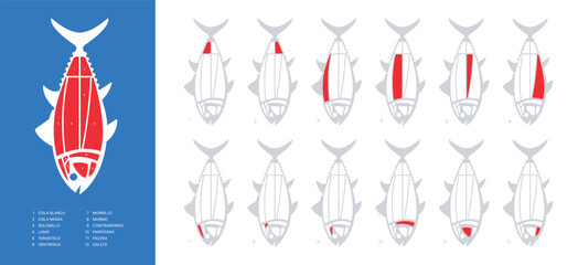 Horizontal Tuna Cuts diagram (ronqueo). Parts of tuna written in Spanish.