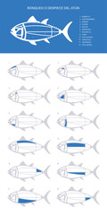 Blue verical Tuna Cuts diagram (ronqueo). Parts of tuna written in Spanish.