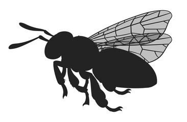 Honey bee silhouette. Cartoon flying bee insect, winged bumblebee, cute honey bee silhouette flat vector illustration