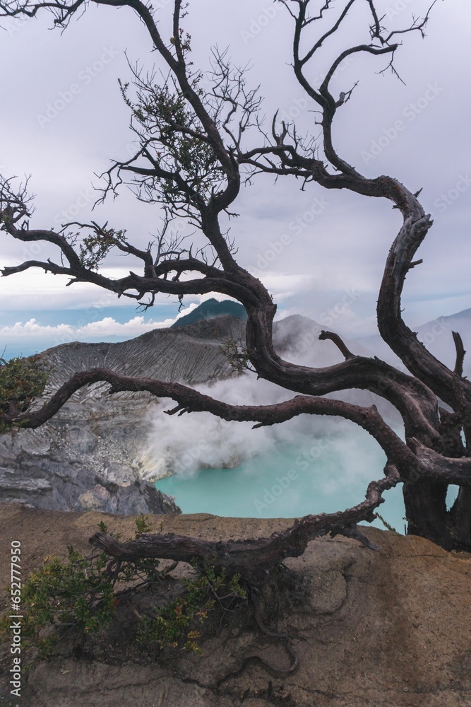 Wall mural Vertical shot of a dry tree over an acid lake near the Kawaj Ijen volcano in Indonesia